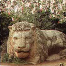 c'est  la ville ou je passe mon vacnse toujours ifrane
